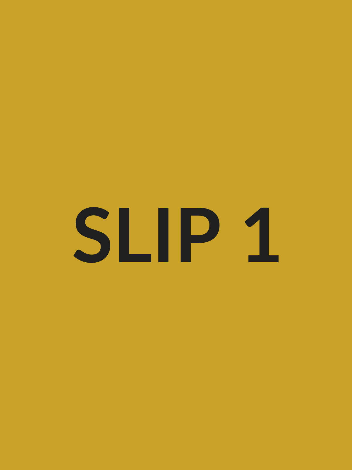 Test slip image 1